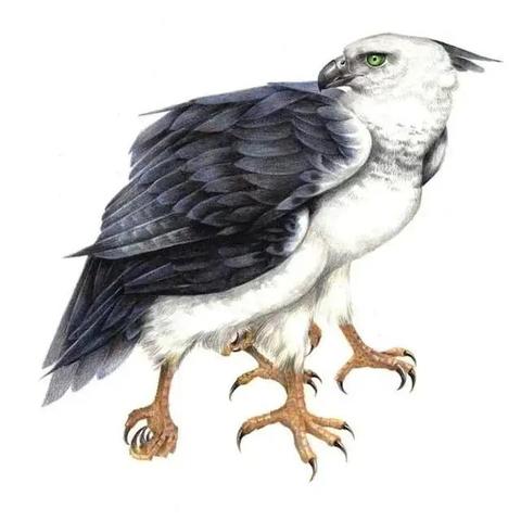 神秘重启:'山海经异兽录'与现代科技融合,开启全新探索未知生物的奇妙之旅 神秘重启:'山海经异兽录'与现代科技融合,开启全新探索未知生物的奇妙之旅