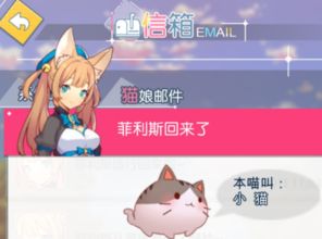 (猫灵相册好玩吗)猫灵相册停服原因解析:用户反馈、市场变化与未来展望探讨 (猫灵相册好玩吗)猫灵相册停服原因解析:用户反馈、市场变化与未来展望探讨
