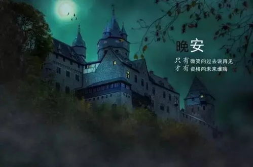 探寻不一样的梦境：《晚安森林》何时上线,并将如何为玩家带来全新冒险体验?