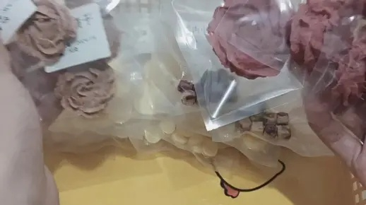 打包仓鼠零食,让您沉浸在美味的世界中 打包仓鼠零食,让您沉浸在美味的世界中