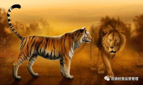 深度解析中国文化中'老虎下山'寓言的涵义及其在现代社会中可能预示的情况