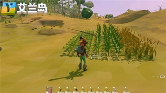 游戏艾兰岛中的象草叶片是什么样子,如何辨别? 游戏艾兰岛中的象草叶片是什么样子,如何辨别?