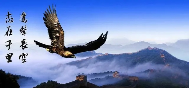 (稳健如飞)稳健如骑马而行,不断前行,以备不时之需 (稳健如飞)稳健如骑马而行,不断前行,以备不时之需