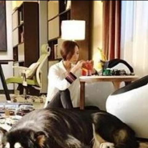 (杜拉拉升职记王珞丹版杜拉拉电视剧)杜拉拉玨班的电视剧大全:王珞丹版全集剧情介绍和观后感分享 (杜拉拉升职记王珞丹版杜拉拉电视剧)杜拉拉玨班的电视剧大全:王珞丹版全集剧情介绍和观后感分享