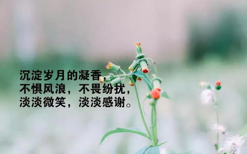 (回家离家的说说心情短语人生感悟)离家远游，回家回家我需要你歌曲，唤回心底深处的柔情