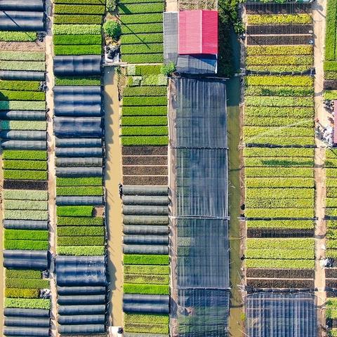 (颜色探索游戏)探索多彩世界：挑战色块地形的益智策略游戏