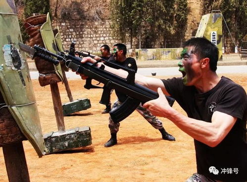 (铁血战兵 铮铮铁骨)坦争争锋铁血勋章价格多少一张? (铁血战兵 铮铮铁骨)坦争争锋铁血勋章价格多少一张?