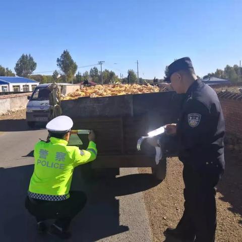 探索机械守护者密码门的奥秘：解锁古老科技与未来智慧的交汇点