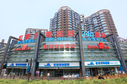 (广州口碑最好的宠物医院推荐一下)广州口碑最好的宠物医院推荐！