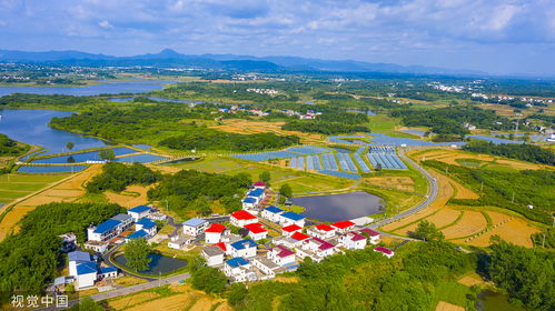 探讨第六大陆宅基地：以生态环保理念为引领，推动中国乡村振兴战略的新篇章