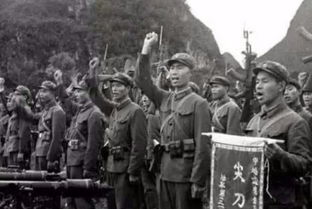 (最猛的越南战争片最后一博)终结者：越南战争电影中的最后一战