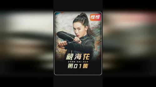探寻隐秘的秘境：hitcard官网盗墓笔记大揭秘