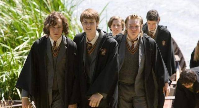 (霍格沃茨獾院院长)探秘霍格沃茨：【HP】獾院里的布莱克的神秘身世